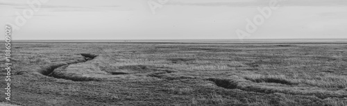 Black and white bleakness of the wetlands at the Wash Nature Reserve at Freiston Shore near Boston, Lincolnshire. Panorama