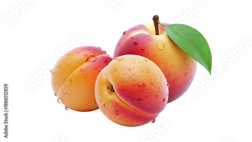 Three Ripe Apricots with Water Droplets and One Leaf