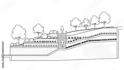 Cross-section of a terraced garden with vegetation, retaining walls, and a pathway