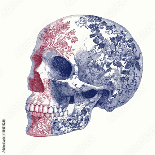 Decorative human skull showing detailed blue and red scrollwork patterns on an off-white background. Ornate skull illustration with intricate blue and red floral patterns