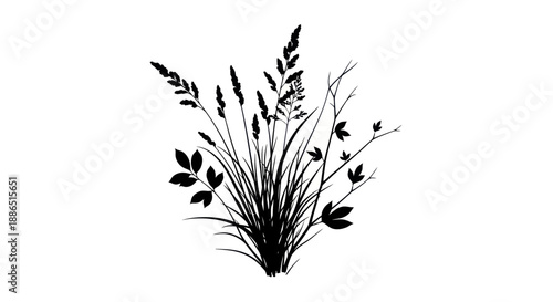 Black silhouette of wild grass and leafy plant cluster illustration.