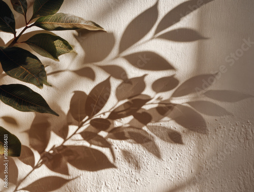 Wallpaper Mural Sunlight casting abstract shadows of green leaves on a textured beige wall, creating a natural background. Torontodigital.ca