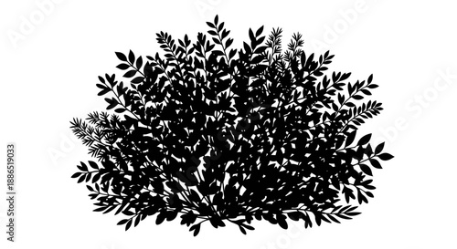 Dense Black Silhouette of a Lush Leafy Bush.