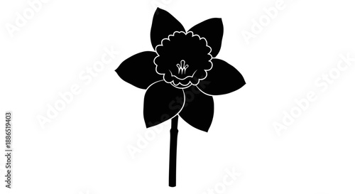 Silhouette of a Detailed Daffodil Flower with Petals and Stem.