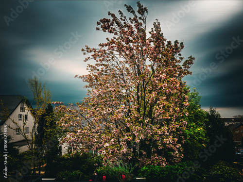 Sturm