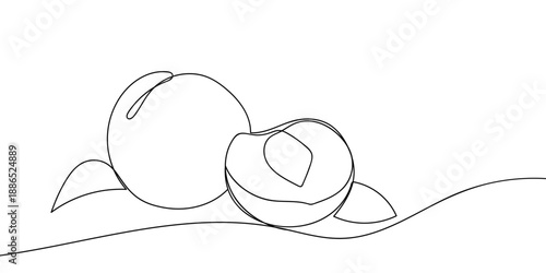 A single, continuous line of art a peach and a peach cut in half. Vector minimalist linear illustration. Editable stroke.