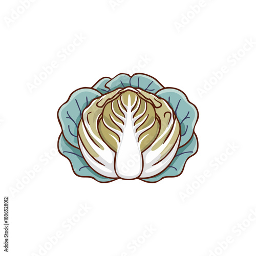 Vibrant vector illustration of a fresh green and white cabbage head, perfect for healthy eating designs, organic food branding, and culinary graphic applications, symbolizing natural garden produce