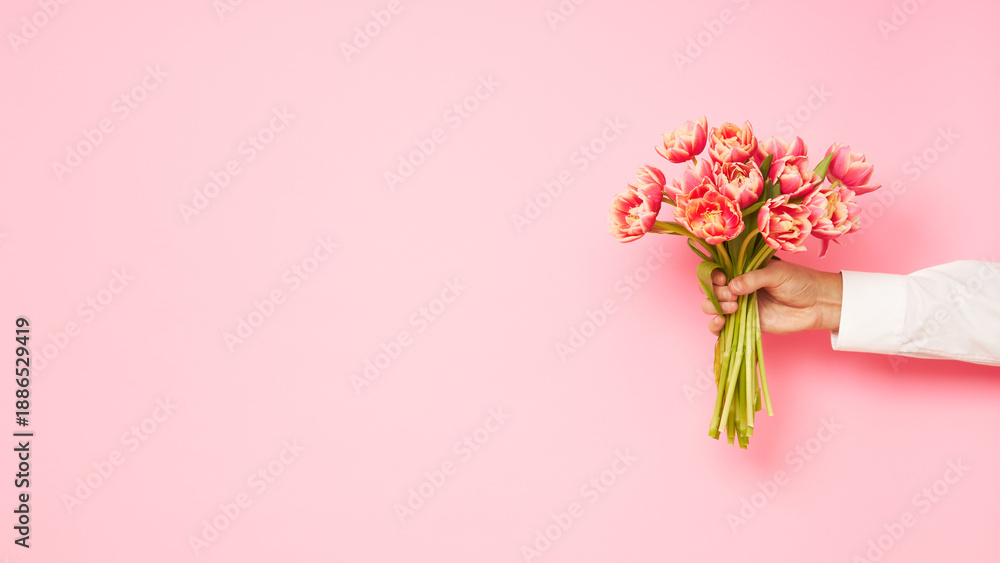 custom made wallpaper toronto digitalMan hand with bouquet of tulips on pink background. International Women's Day celebration