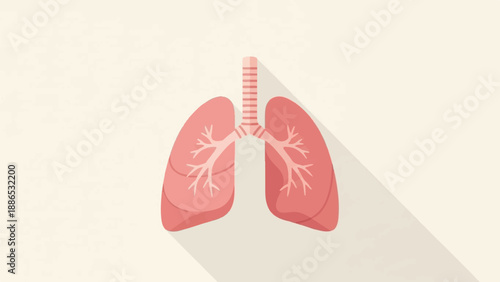 Simplified illustration of human lungs with trachea, cast in shadow