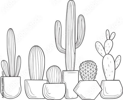 A collection of potted cacti in various shapes and sizes cactus succulent plant desert