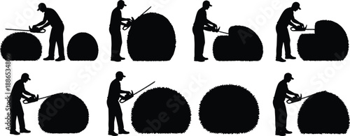 Silhouette gardener trimming bush with hedge trimmer, landscaping process illustration, garden maintenance sequence, outdoor work vector, plant shaping, professional gardening artwork