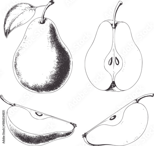 Pencil of whole and sliced pears fruit half