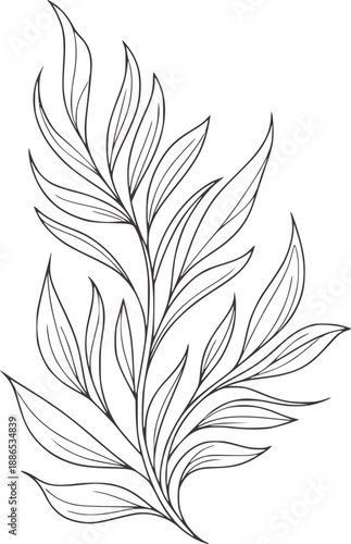 Stylized dark gray outline of a botanical branch with many pointed leaves