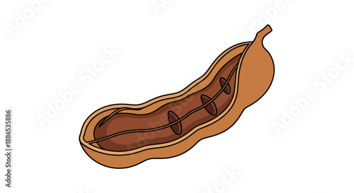 A cross-section of a ripe tamarind pod revealing its edible pulp and seeds.