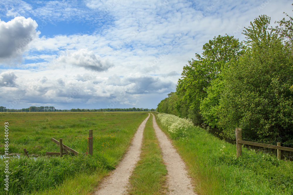 Obraz premium Dirt road and fields in Dutch countryside