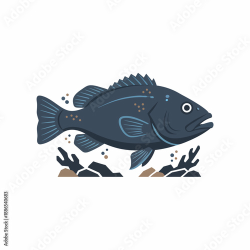 Stylized dark blue fish illustration above rocks and sediment
