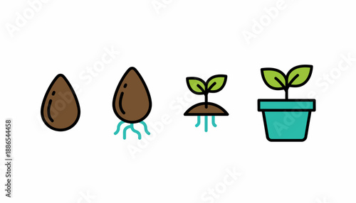 Illustrative sequence depicting the germination and early growth stages of a plant from seed to potted sprout.