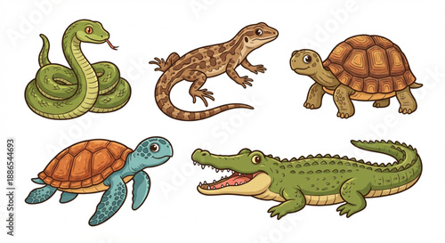 Collection of Reptiles and Amphibians Illustration Vector Art