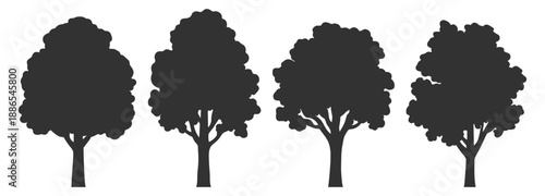 Tree silhouettes set. Outline line drawing forest trees vector illustration isolated on transparent background
