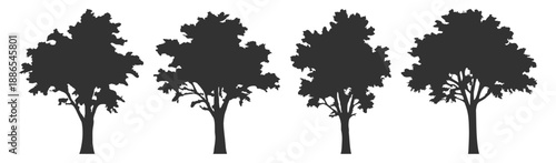 Tree silhouette vector illustration with forest foliage nature plant greenery landscape oak pine palm deciduous conifer canopy ecology wild botanical scenic environment on transparent background