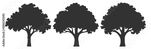 Tree silhouette set, oak baobab nature forest vector illustration, botanical canopy trunk branch leaf savanna africa wild on transparent background