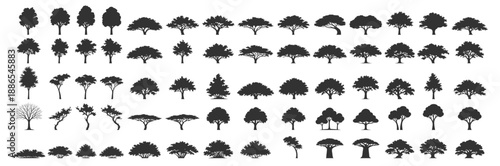 Tree silhouette vector illustration with forest foliage nature plant greenery landscape oak pine palm deciduous conifer canopy ecology wild botanical scenic environment on transparent background