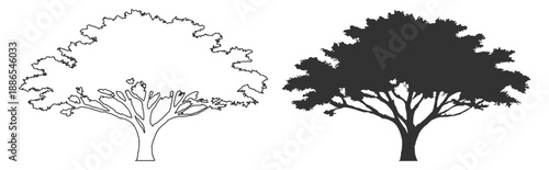 Tree silhouette collection, oak deciduous canopy vector illustration, forest nature landscape plant foliage, black isolated clipart on transparent background