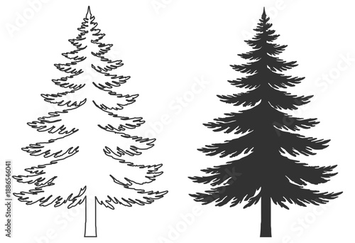 Pine tree silhouette set, conifer evergreen forest nature vector illustration, fir spruce christmas winter woodland botanical holiday decoration on transparent background