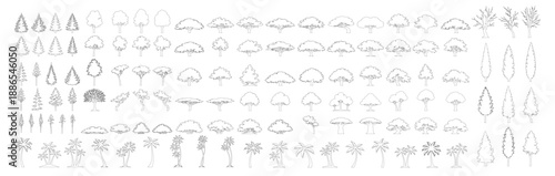 Tree silhouettes set. Outline line drawing forest trees vector illustration isolated on transparent background