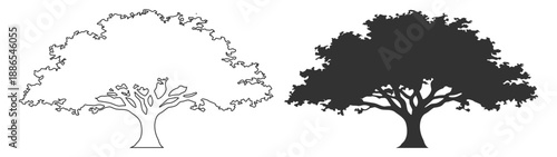 Tree silhouette set, maple birch elm poplar willow woodland vector illustration, forest nature landscape, black isolated design printable poster on transparent background