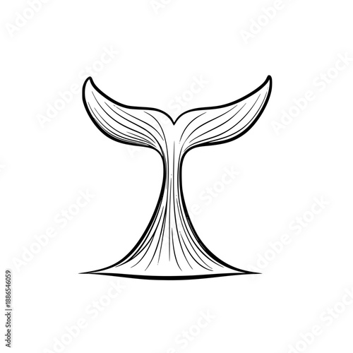 Elegant Whale Tail Art, Bold Simple Design | Clean, isolated vector art for creative projects.