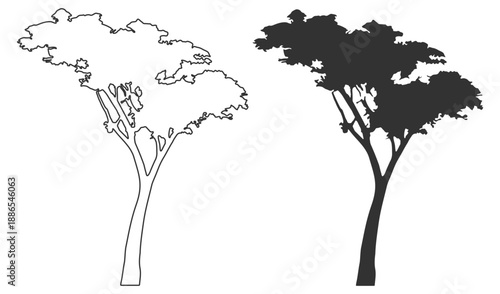 Tree silhouette collection, nature forest landscape vector illustration set, branch trunk leaf canopy woodland park botanical organic rustic vintage printable poster decor on transparent background