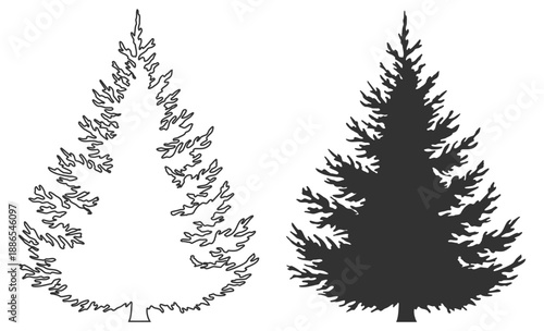 Pine tree silhouette set, conifer evergreen forest nature vector illustration, fir spruce christmas winter woodland botanical holiday decoration on transparent background