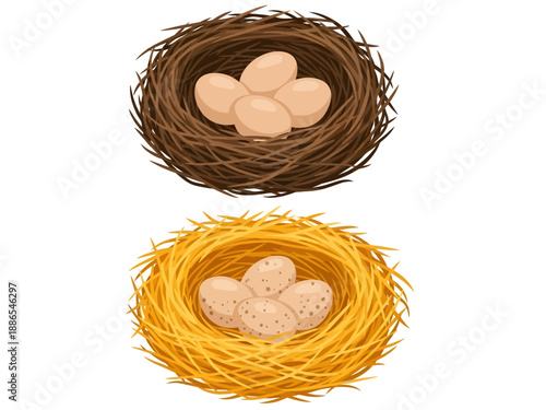 Two vector bird nests are depicted, with a brown twig nest holding smooth beige eggs situated above a golden straw nest cradling four speckled eggs