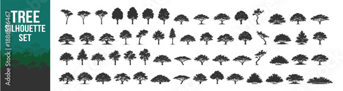 Tree silhouette vector illustration with forest foliage nature plant greenery landscape oak pine palm deciduous conifer canopy ecology wild botanical scenic environment on transparent background