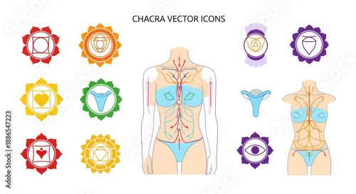 Colorful Chakra Icons and Anatomical Illustrations of the Human Body.