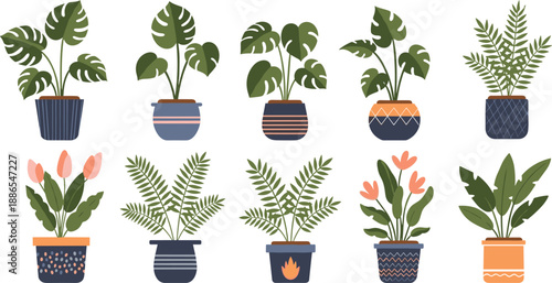 Colorful flat vector illustration set of potted indoor houseplants with decorative pots isolated on white background for modern interior design