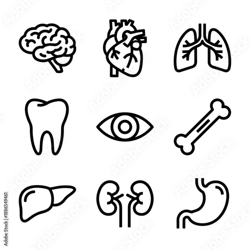 human organs icons