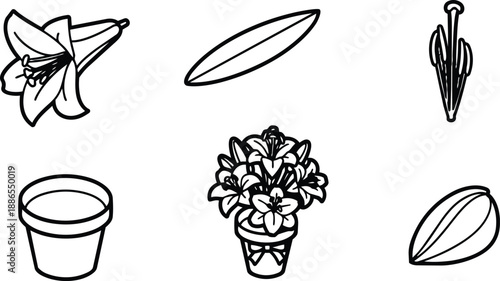 Line art botanical icon set close up potted lily bouquet viewed from above individual petals stamen seed pod simple black outline vector minimalist style hand drawn