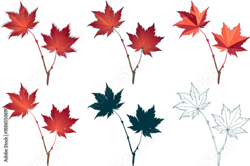 Set of red colored maple autumn leaves brunch isolated on white background. Flat and line styles illustrations.