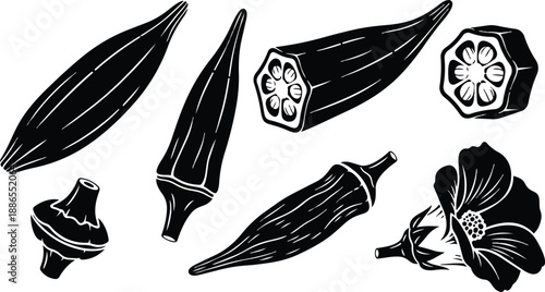 Botanical vector line art okra pods sliced cross section flower and whole angled composition black and white flat design top view side view detailed texture illustration