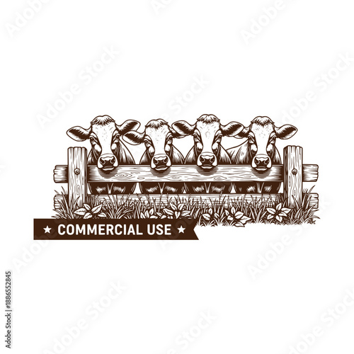 Cows peeking over a wooden fence in the field