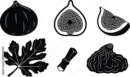 Woodcut style close up botanical figs whole half and slice with fig leaf and stem flat vector art isolated black engraving texture detailed top view illustration