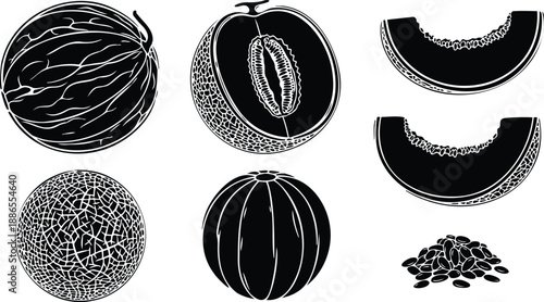 Minimalist vector melon set with whole and halved cantaloupe honeydew and watermelon slices seeds close up top view monochrome line art kitchen food illustration organic ripe