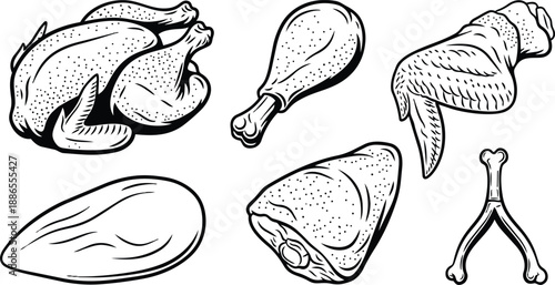 Line art detailed close up set of chicken cuts showing whole bird drumstick wing breast thigh wishbone carved pieces arranged isolated vector illustration for food packaging