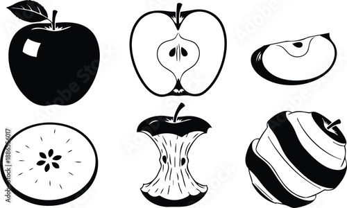 Line art close up apple icon set showing whole half slice cross section core eaten core and peeled spiral apple vector flat minimalist clean silhouette illustration