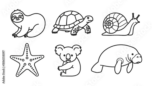 Cute Animal Collection: A delightful collection of charming animal illustrations, including a sloth, turtle, snail, starfish, koala, and manatee, presented in a simple, clean line art style.