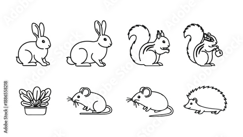 Outline Animals: A delightful collection of outline drawings showcasing a diverse group of adorable animals in a simple yet charming style.
