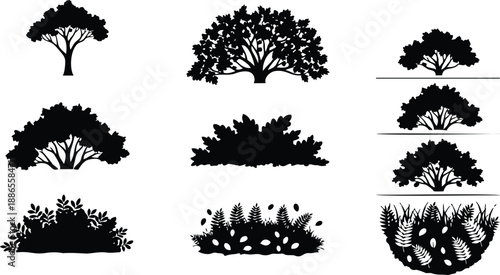 Silhouette flat design vector set of oak trees shrubs and ground foliage side view top view close up isolated black botanical icons multiple sizes profile bushes landscape