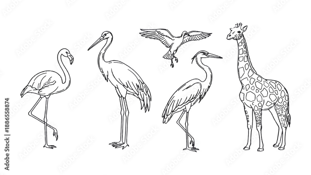 Obraz premium Line Art Wildlife Ensemble: A striking collection of intricately detailed line art showcasing diverse wildlife, with each creature depicted in elegant simplicity.
